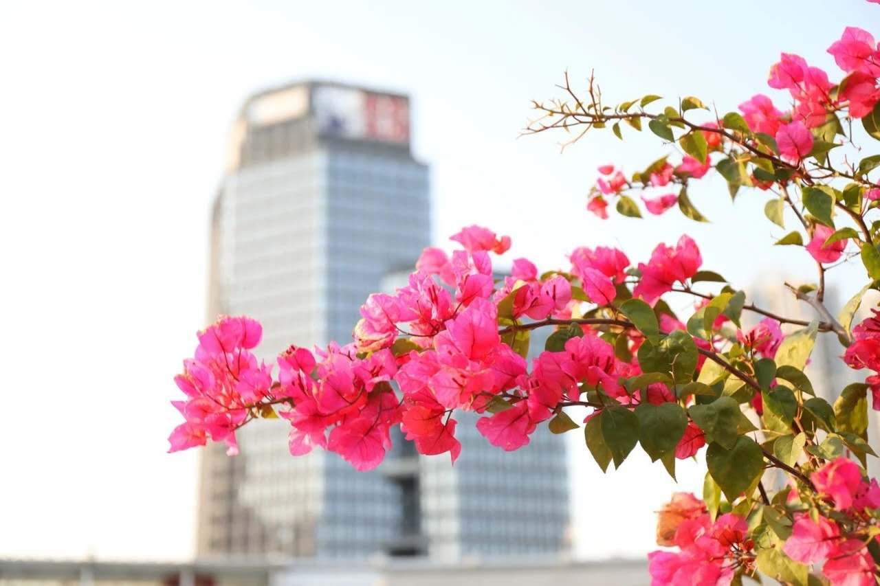 微信图片_20200223175529.jpg 微信图片_20200223175529.jpg