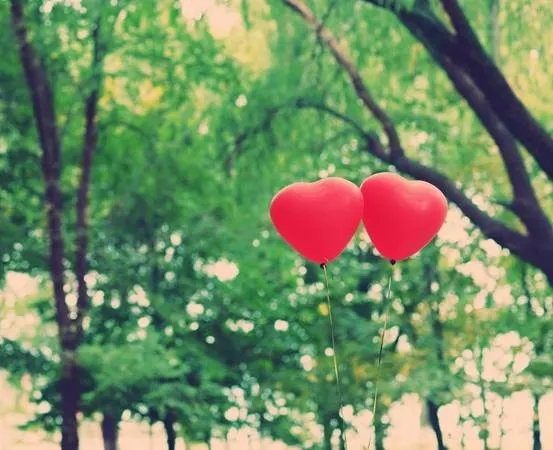 103231248217880414.jpg 103231248217880414.jpg